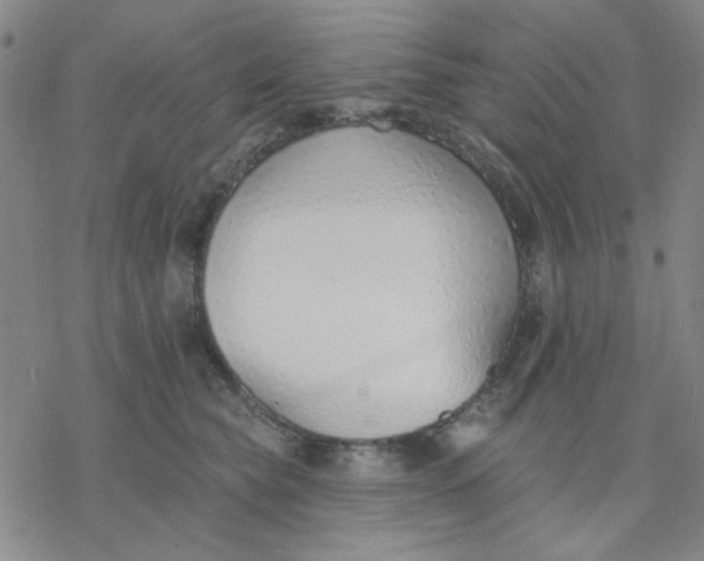 X0000076400565200610271621