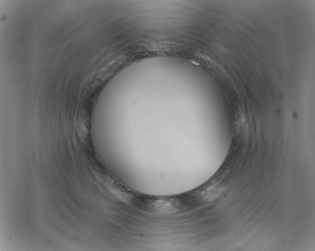 X0000076400566200610271621