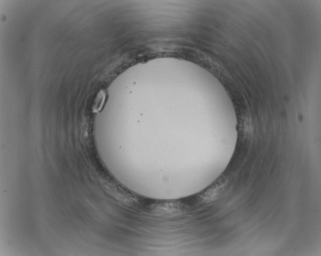 X0000076400567200610271621