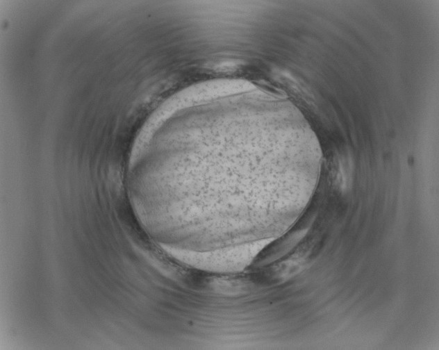 X0000076400568200610271621