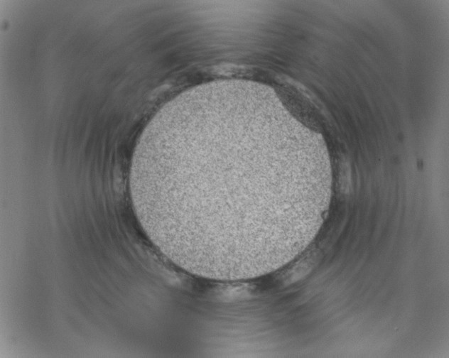 X0000076400569200610271621