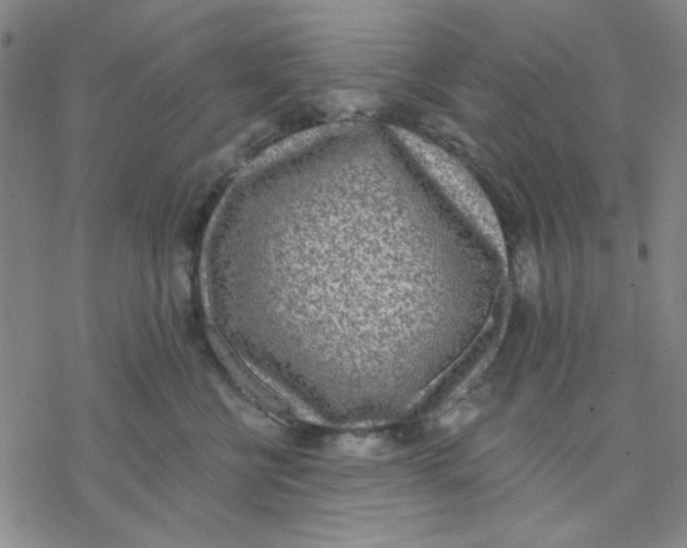 X0000076400570200610271621