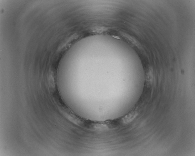 X0000076400572200610271621