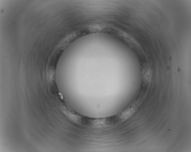 X0000076400574200610271621