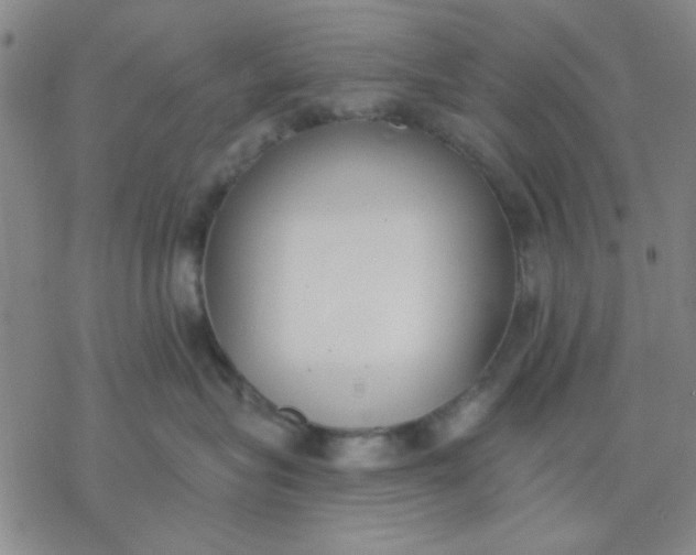 X0000076400575200610271621