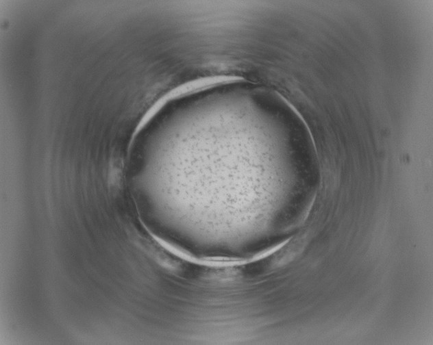 X0000076400576200610271621