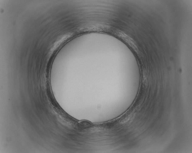 X0000076400578200610271620