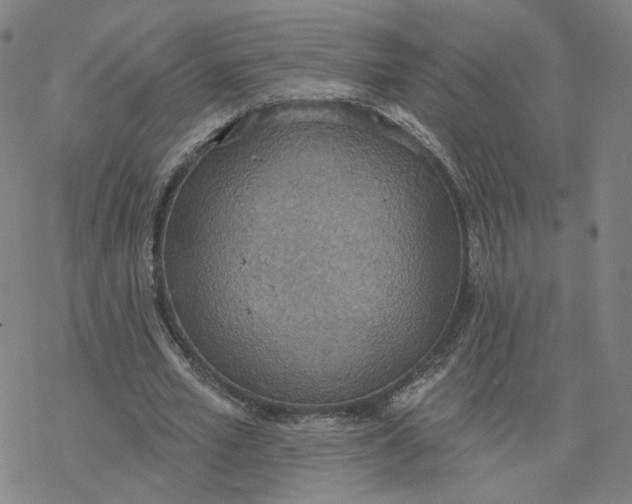 X0000076400581200610271620