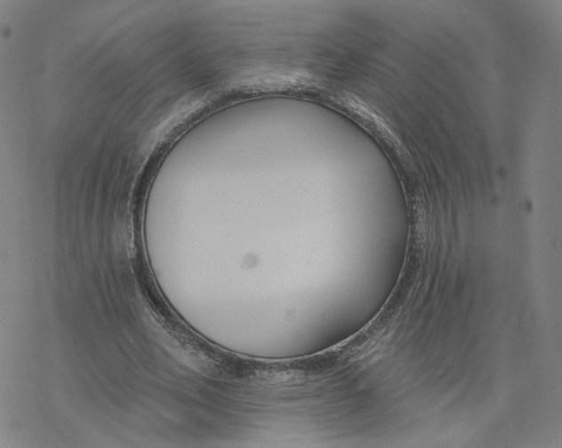 X0000076400582200610271620