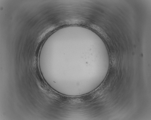 X0000076400583200610271620