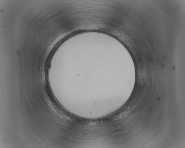 X0000076400584200610271620