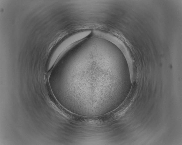 X0000076400585200610271620