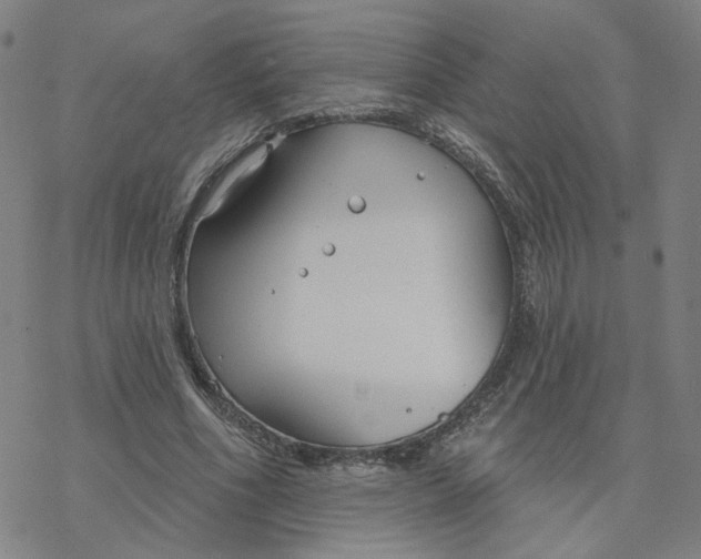 X0000076400586200610271620