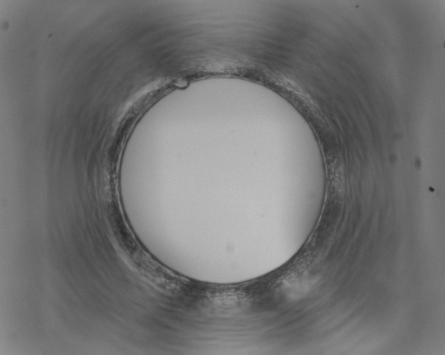 X0000076400587200610271620