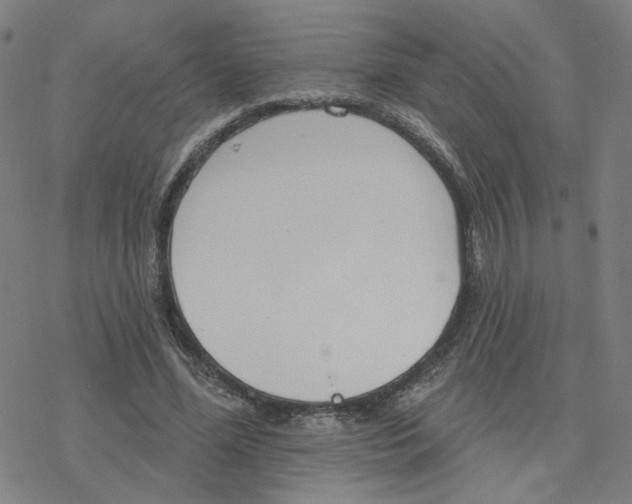 X0000076400588200610271620