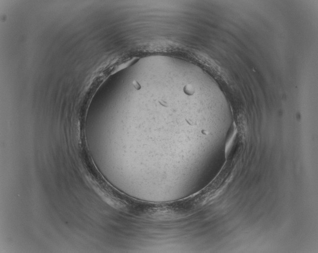 X0000076400589200610271620