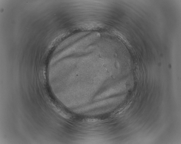 X0000076400590200610271620