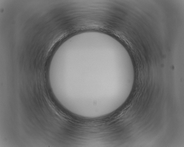 X0000076400591200610271620