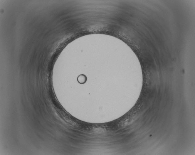 X0000076400592200610271620