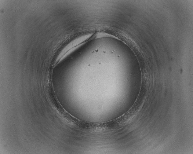 X0000076400593200610271620