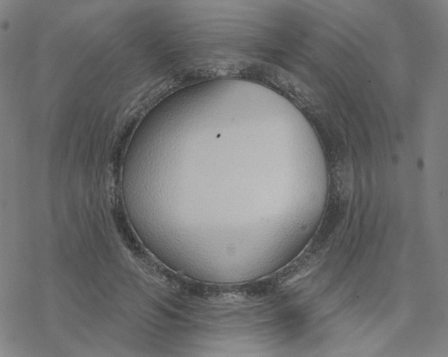 X0000076400594200610271620