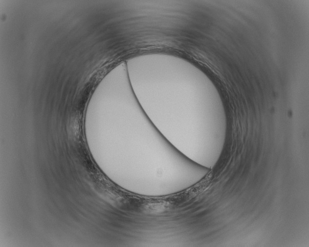 X0000076400595200610271620