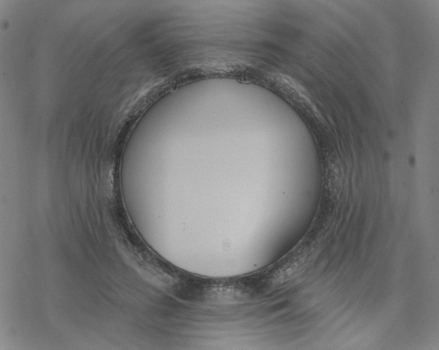 X0000076400596200610271620