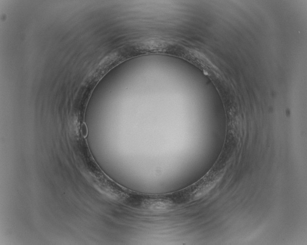 X0000076400597200610271620