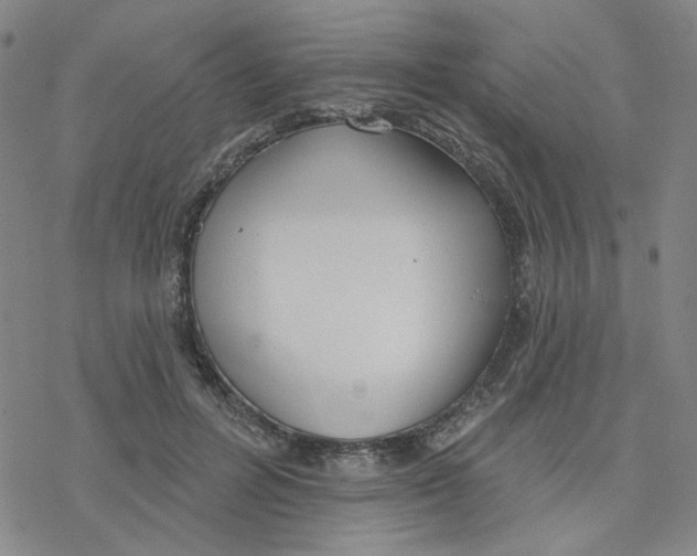 X0000076400600200610271620