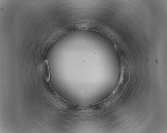 X0000076400601200610271620