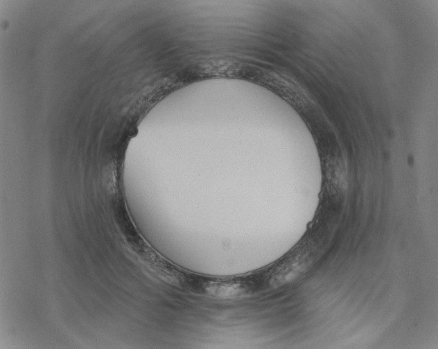 X0000076400602200610271620