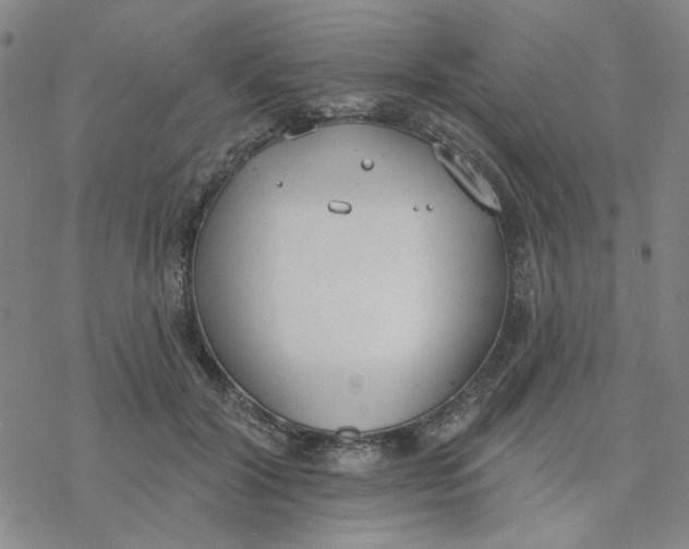 X0000076400604200610271620