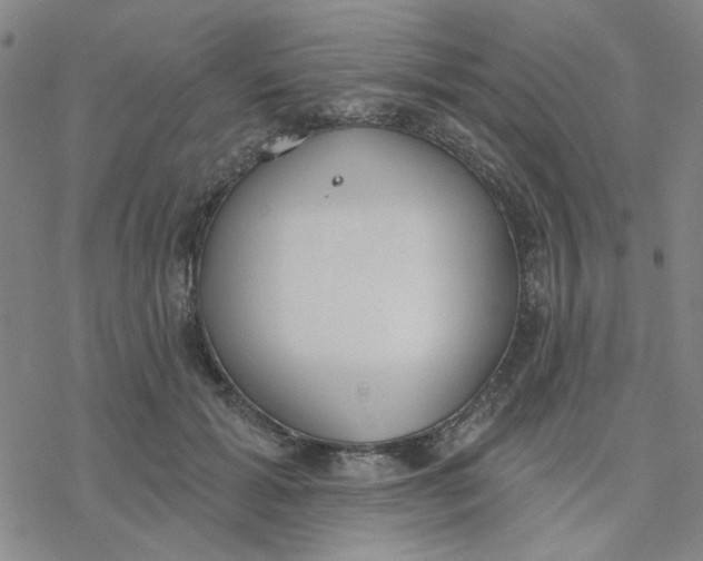 X0000076400605200610271620