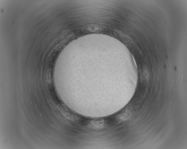 X0000076400606200610271620