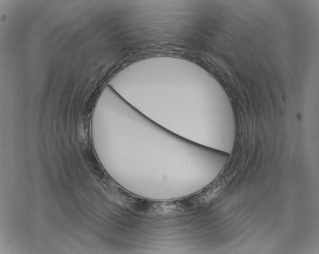 X0000076400607200610271620