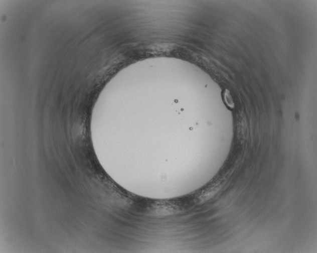 X0000076400608200610271620