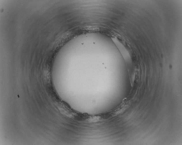 X0000076400609200610271620