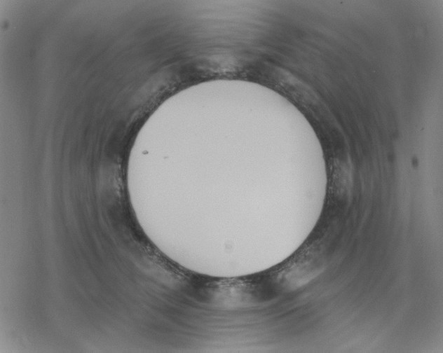 X0000076400612200610271620