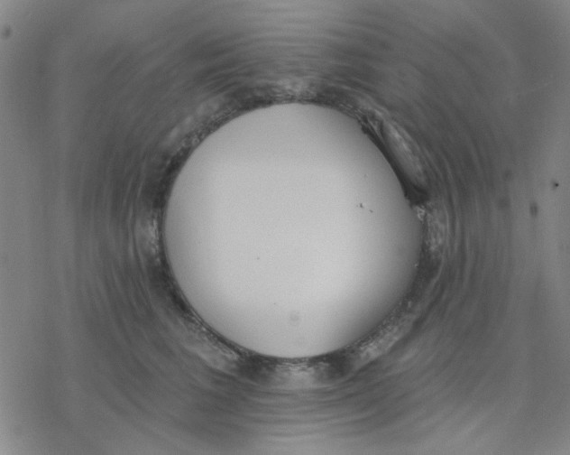 X0000076400613200610271620