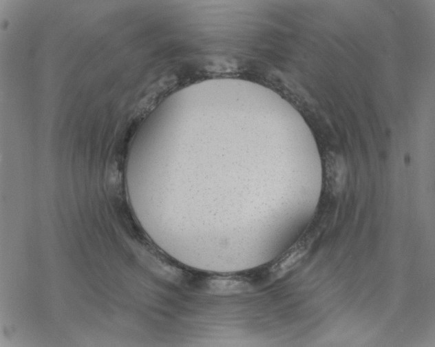 X0000076400614200610271620