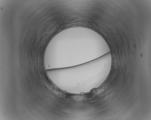 X0000076400615200610271620