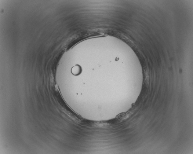 X0000076400617200610271620