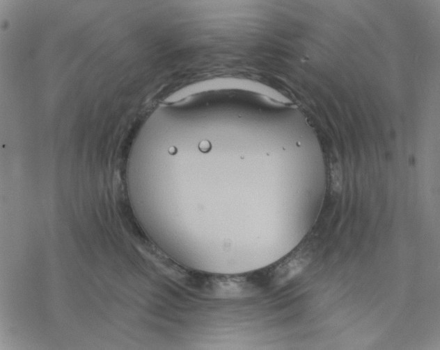 X0000076400618200610271620