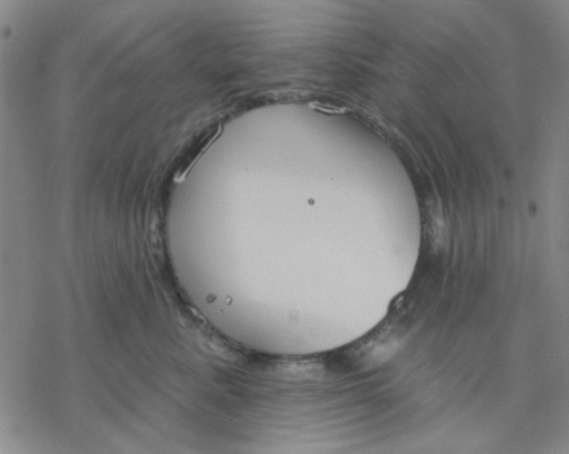 X0000076400619200610271620