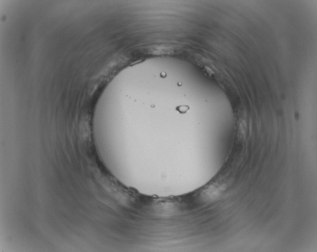 X0000076400620200610271620