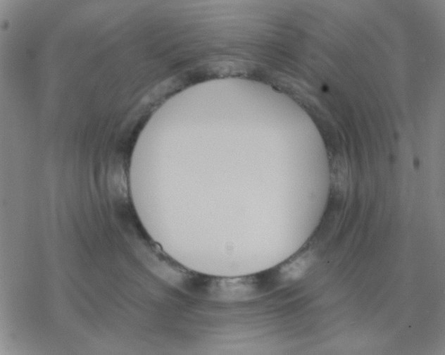 X0000076400622200610271619