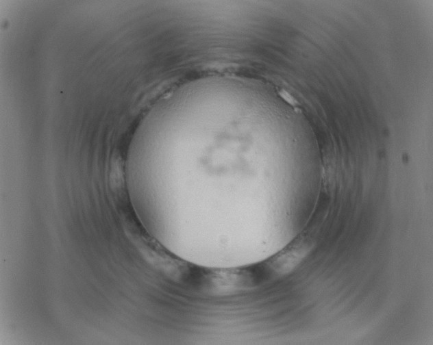 X0000076400623200610271619