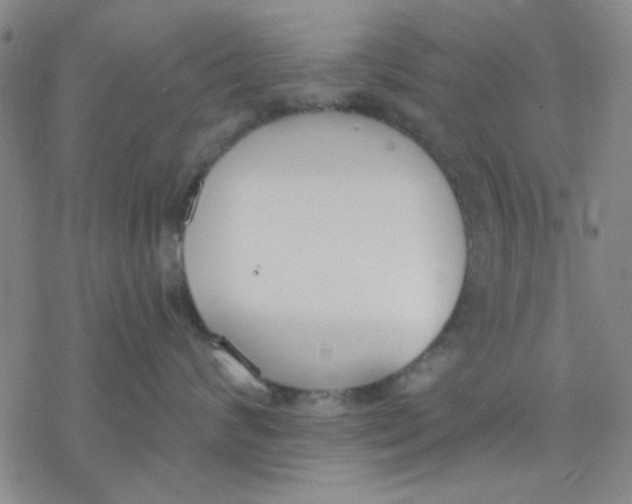 X0000076400624200610271619