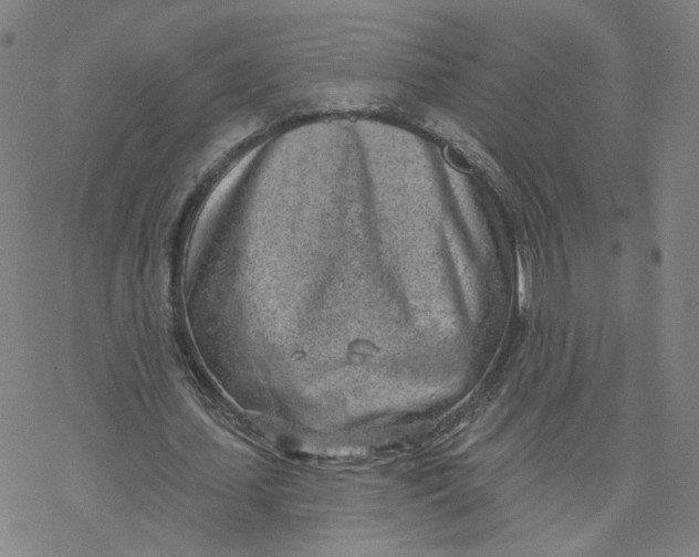 X0000076400627200610271619