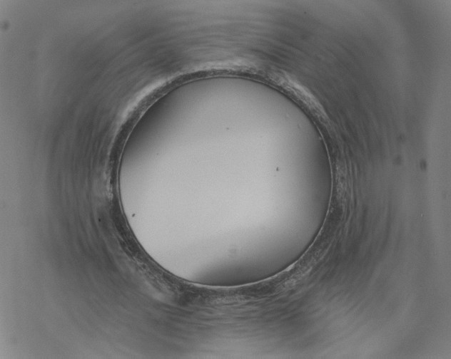 X0000076400628200610271619